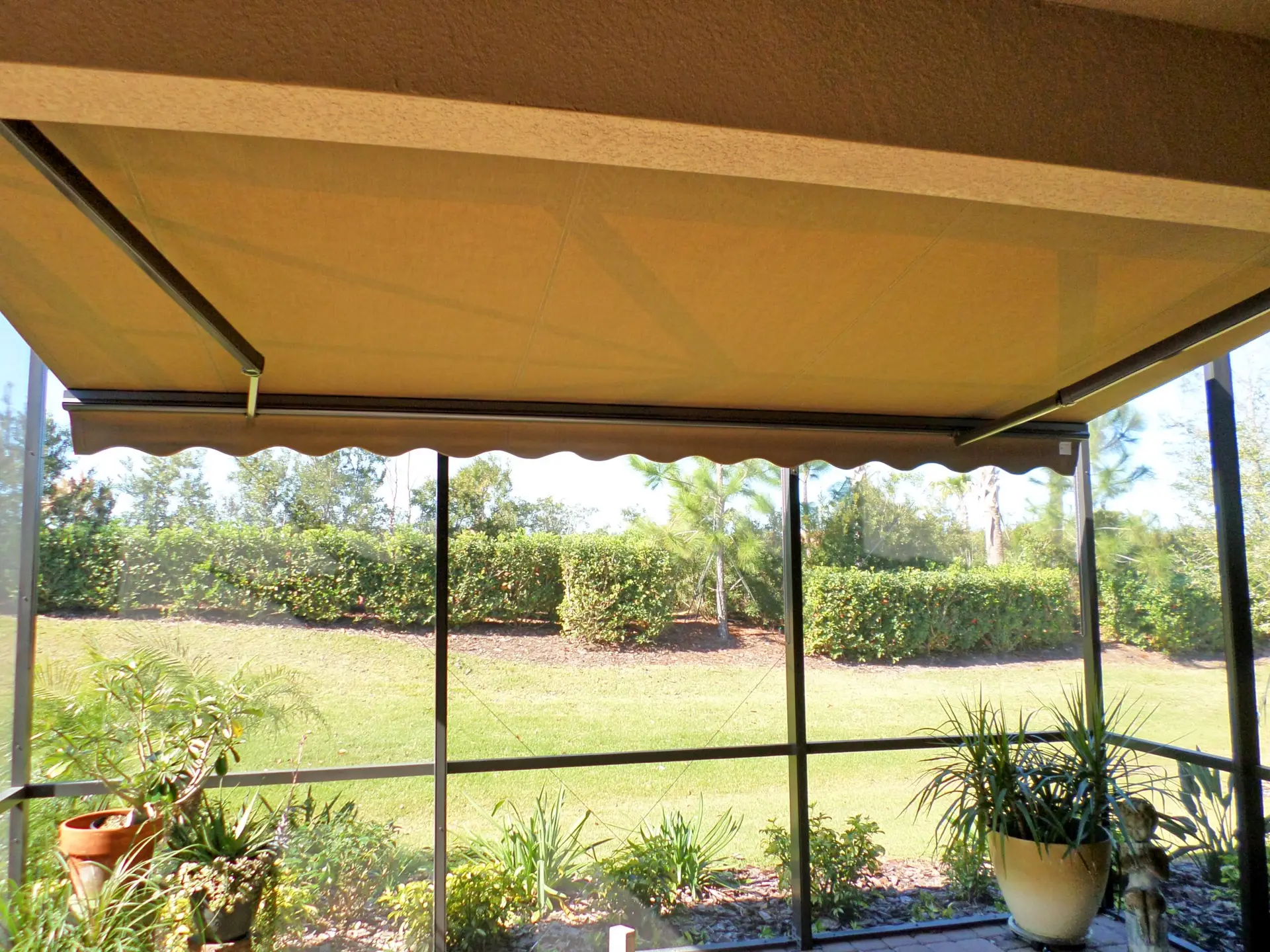 SAMSUNG CAMERA PICTURES